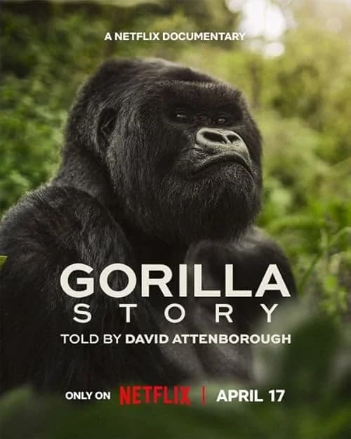 A Gorilla Story: Told by David Attenborough film posteri